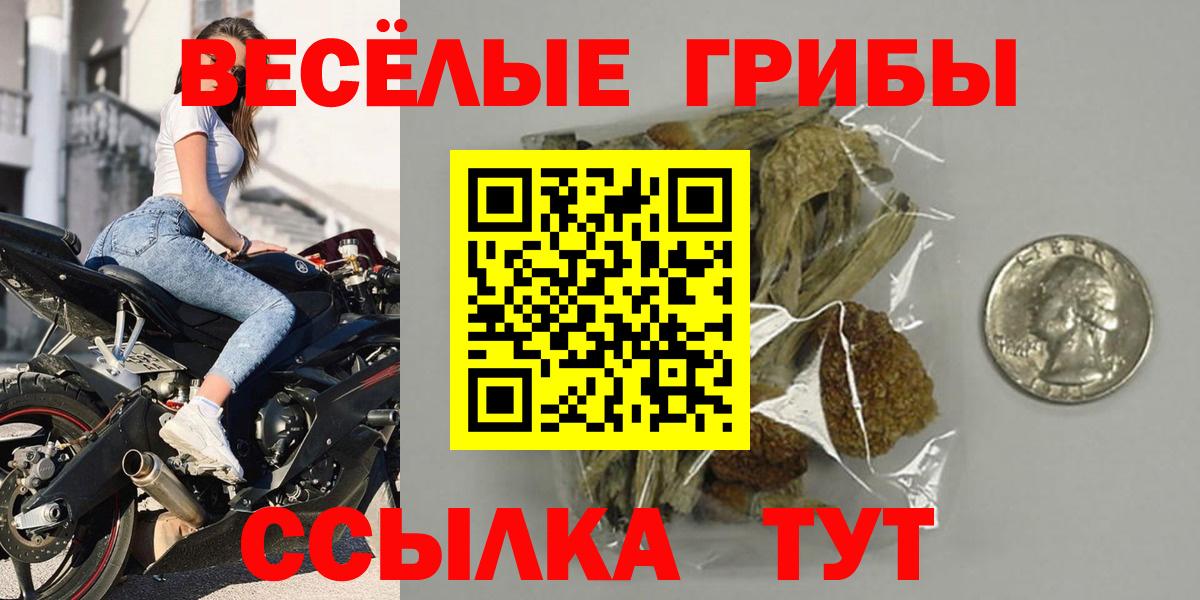 Тихорецк  Галлюциногенные грибы GOLDEN TEACHER  Псилоцибиновые грибы ЛСД  Вход с VPN 